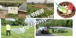 xx河小流域绿化养护治理方案